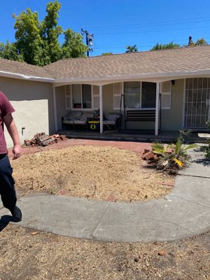Completed tree removal with clean property