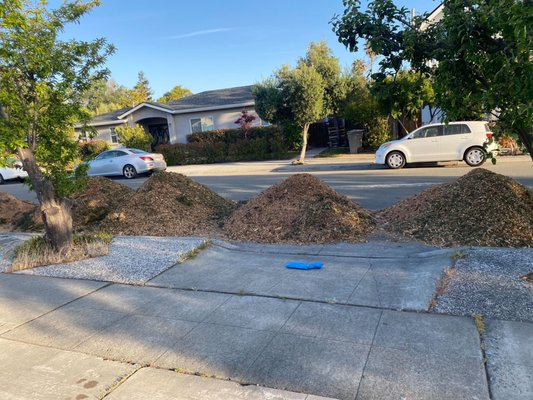 Emergency Tree Removal in Los Gatos by Firefighter Tree Service